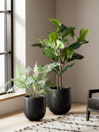 Le Tauci Pots for Plants Ceramic