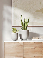 Le Tauci Pots for Plants Ceramic