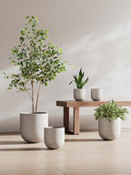 Le Tauci Pots for Plants Ceramic