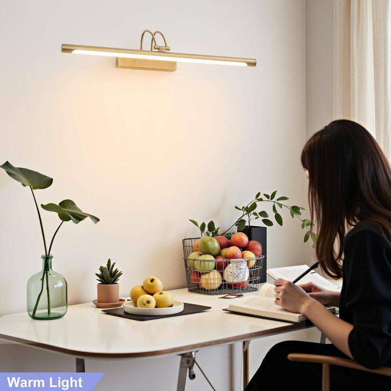 LED Bathroom Wall Picture Lights for with Switch