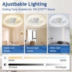 LED Ceiling Fan with Light: 16" Modern Low