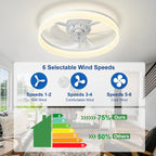 LED Ceiling Fan with Light: 16" Modern Low