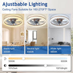 LED Ceiling Fan with Light: 16" Modern Low
