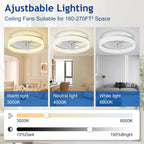 LED Ceiling Fan with Light: 16" Modern Low