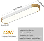 LED Ceiling Light 100CM Ultra-Slim Dimmable Linear Lamp