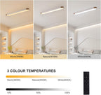 LED Ceiling Light 100CM Ultra-Slim Dimmable Linear Lamp