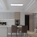 LED Ceiling Light 100CM Ultra-Slim Dimmable Linear Lamp