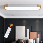 LED Ceiling Light 100CM Ultra-Slim Dimmable Linear Lamp