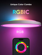 LED Ceiling Light 2400lm Smart Rgbic Lights Round