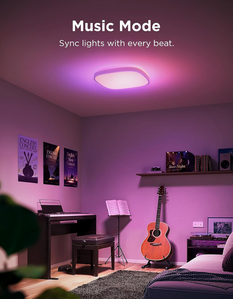 LED Ceiling Light 2400lm Smart Rgbic Lights Round