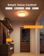 LED Ceiling Light 2400lm Smart Rgbic Lights Square