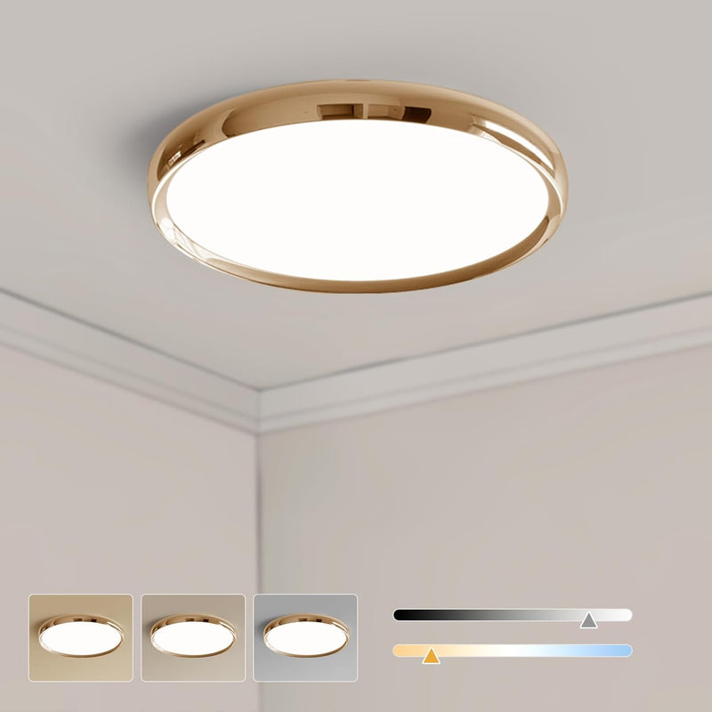 LED Ceiling Light 3000K 4500K 6500K Dimmable