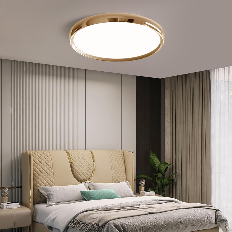 LED Ceiling Light 3000K 4500K 6500K Dimmable