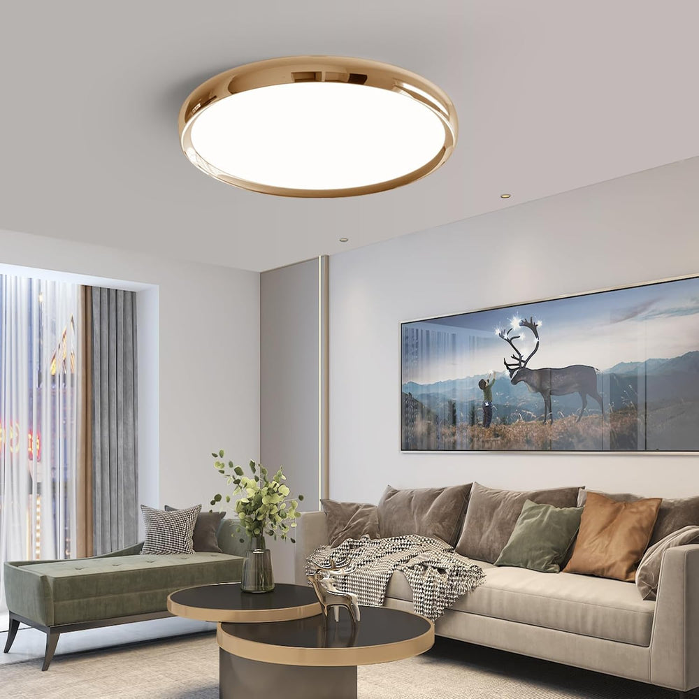 LED Ceiling Light 3000K 4500K 6500K Dimmable