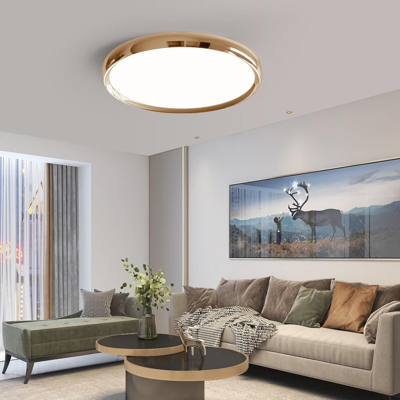 LED Ceiling Light 3000K 4500K 6500K Dimmable