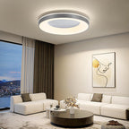 LED Ceiling Light 3000K 4500K 6500K Dimmable