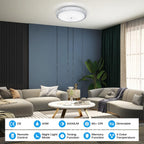15.7in LED Ceiling Light 40W Dimmable Colour Temperature