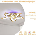 LED Ceiling Light Dimmable 70W Modern Flush Lights