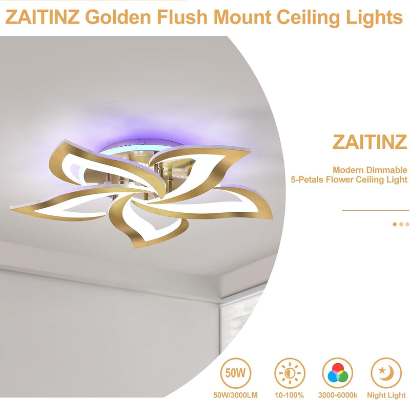 LED Ceiling Light Dimmable 70W Modern Flush Lights