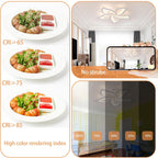 LED Ceiling Light Dimmable 80W-160W Living Room Lamp