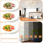 LED Ceiling Light Dimmable 80W-160W Living Room Lamp