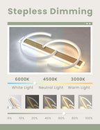 LED Ceiling Light Dimmable Lamp Wood Living Room