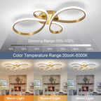 LED Ceiling Light Dimmable Modern Lamp with Remote