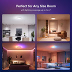 LED Ceiling Light Smart Rgbicw Flush Mount Dual-Sided