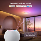 LED Ceiling Light Smart Rgbicw Flush Mount Dual-Sided