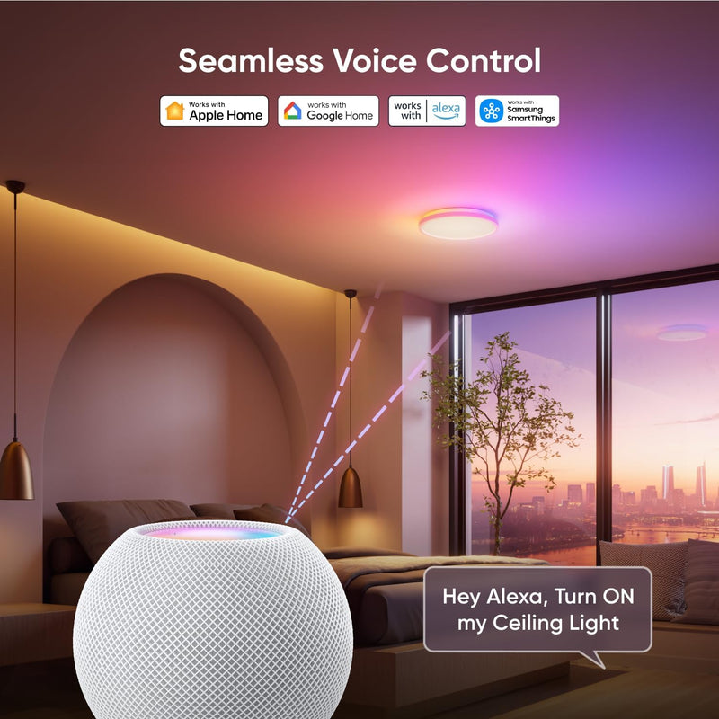 LED Ceiling Light Smart Rgbicw Flush Mount Dual-Sided
