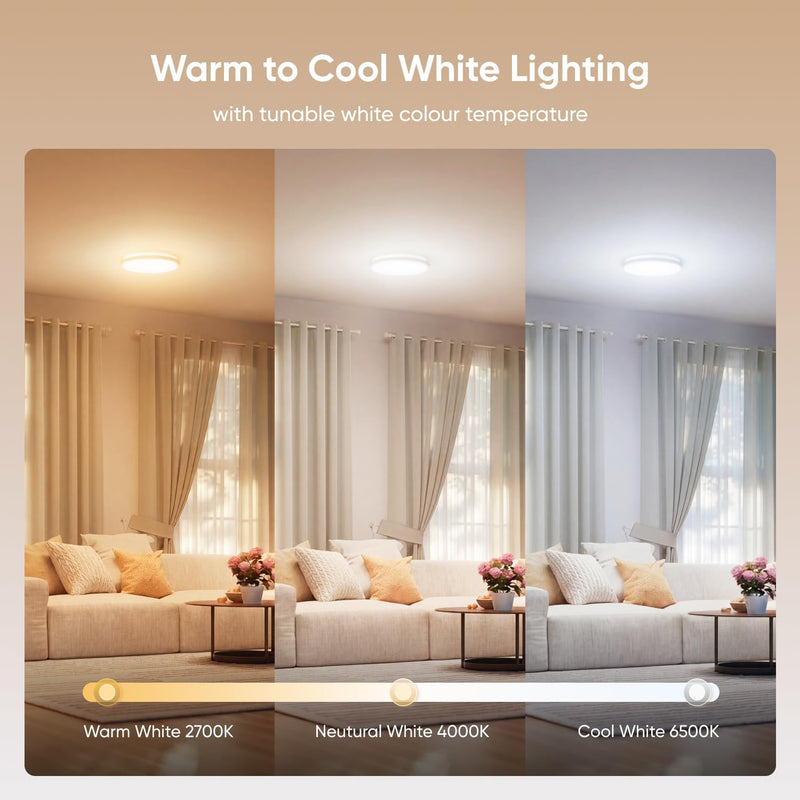 LED Ceiling Light Smart Rgbicw Flush Mount Dual-Sided