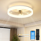 LED Ceiling Light with Fan and Remote