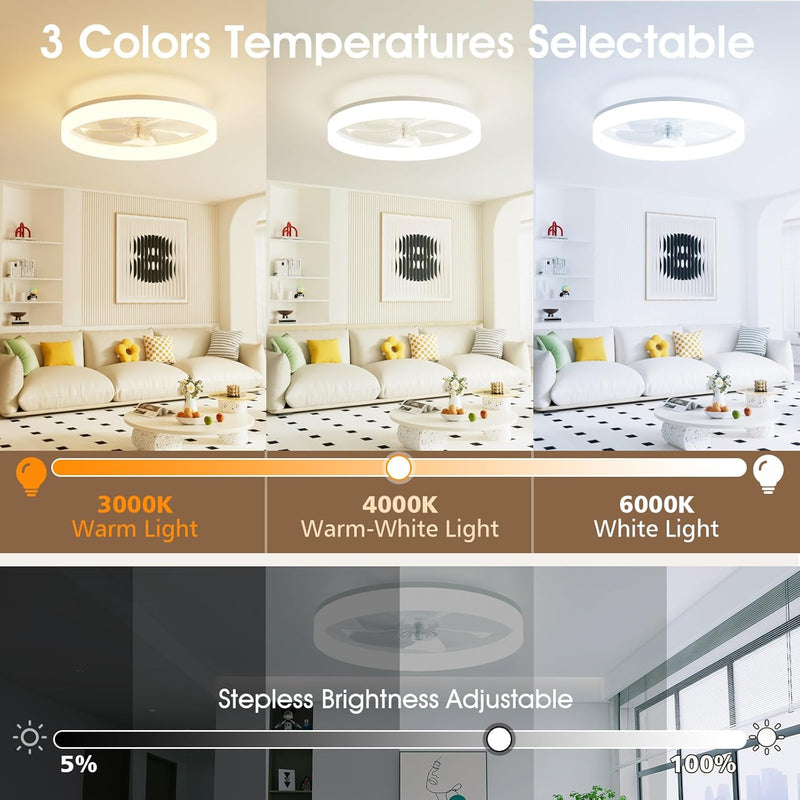 LED Ceiling Light with Fan and Remote