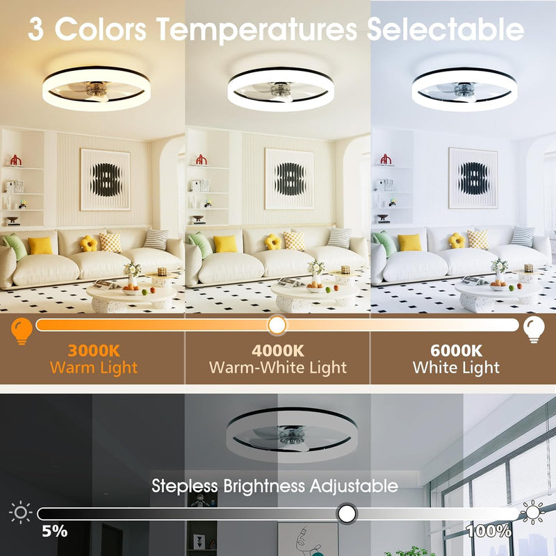 LED Ceiling Light with Fan and Remote