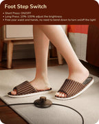 LED Floor Lamp Minimalist Dimmable 3000K Standing (2 Pack)