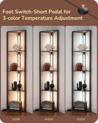 LED Floor Lamps with Shelves 4 Layers Wood