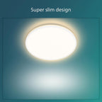 LED Ozziet Linear Ceiling Light 22W 4000K Cool