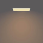 LED Panel Square Ceiling Light Sceneswitch Dimmable 4000K
