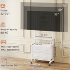 LED Rolling TV Stand on Wheels with Mount