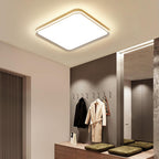 LED Square Ceiling Light Flush Living Room