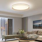 LED Square Ceiling Light Flush Living Room