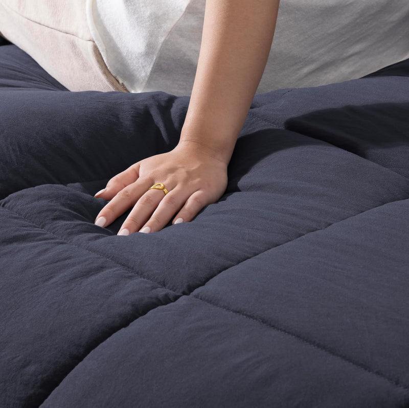 Leonora Comforter Set with 2 Pillow Shams Lightweight
