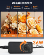 Light Box Photography Portable Mini Photo Booth