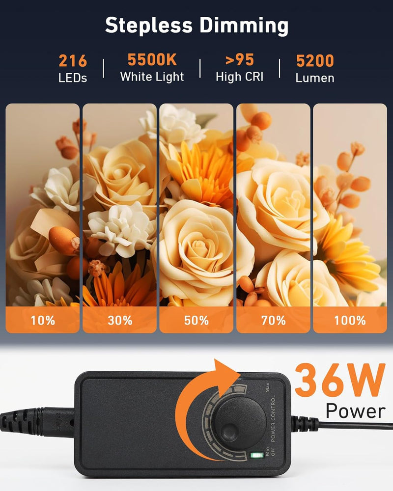 Light Box Photography Portable Mini Photo Booth