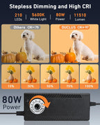 Light Box Photography Portable Mini Photo Booth