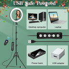Light with Tripod Stand Phone Holder 10 Inch