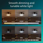 Lighting LED Bliss 28W Ceiling Light with 35W