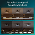 Lighting LED Bliss 28W Ceiling Light with 35W