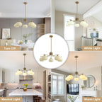 Lighting Modern Brushed 5-Light Glass Globe Chandelier