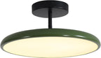 Lighting Vintage LED Ceiling Light with Colour Temperature
